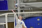 Volleyball vs Babson  Wheaton Women's Volleyball vs Babson College. - Photo by Keith Nordstrom : Wheaton, Volleyball, VB